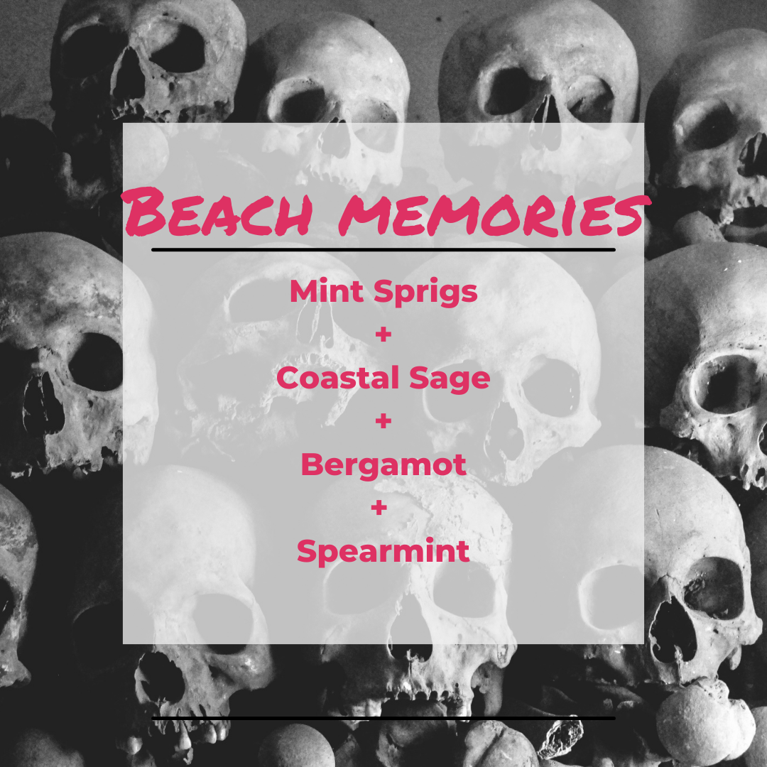 Beach Memories Wax Melt