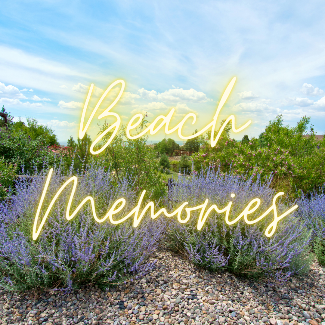 Beach Memories Soy Candle