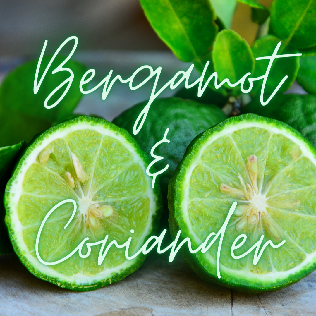 Bergamot & Coriander Soy Candle