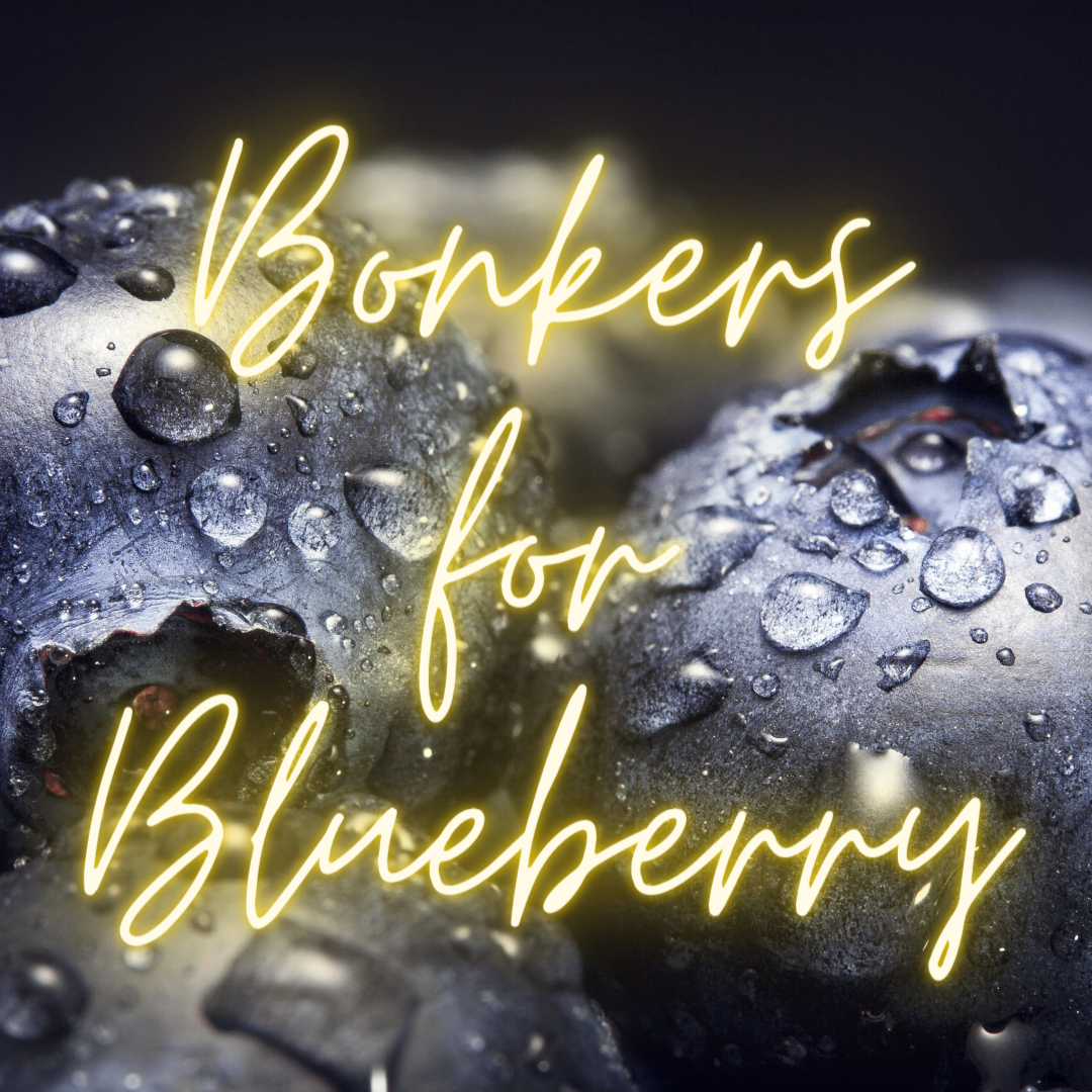 Bonkers for Blueberry Soy Candle