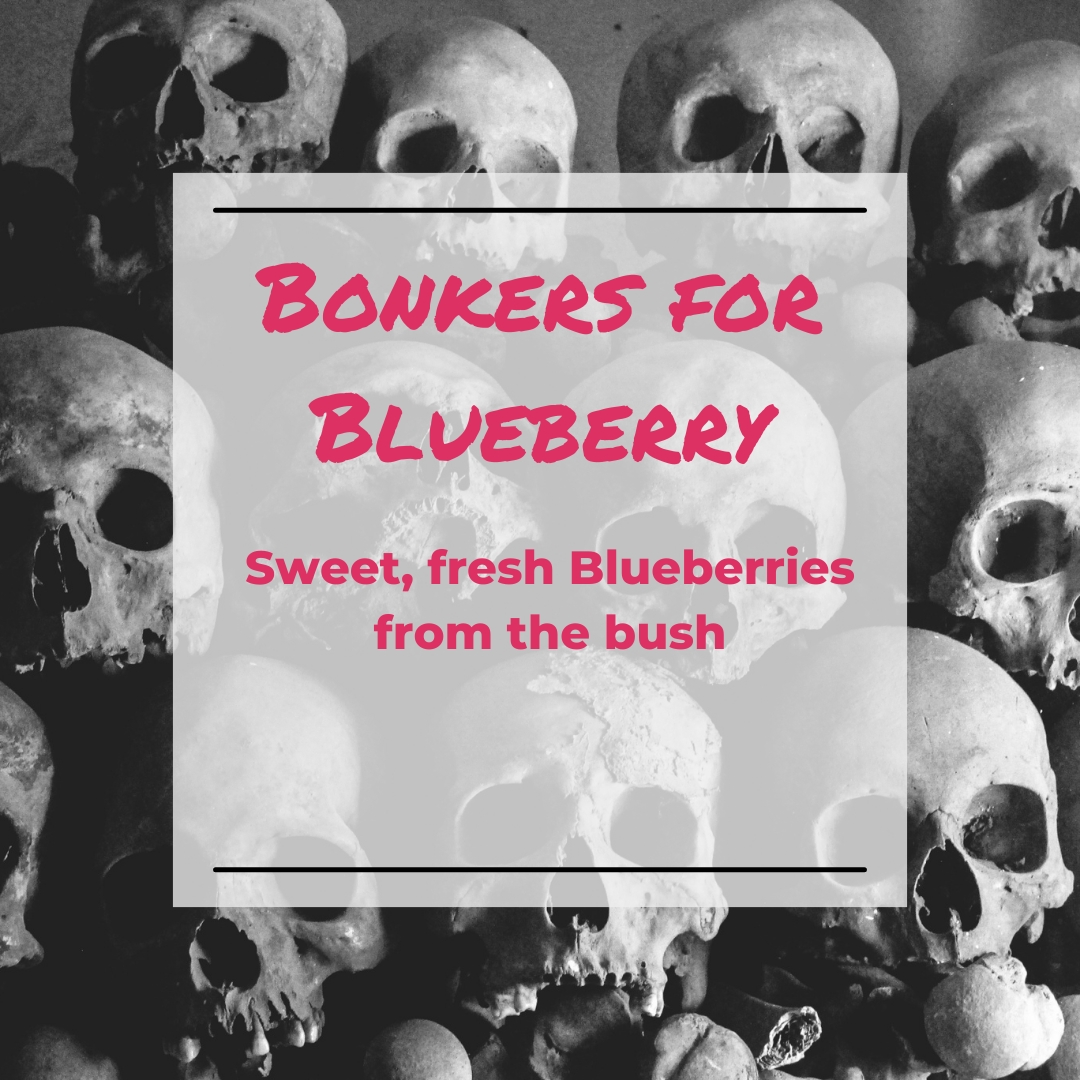 Bonkers For Blueberry Wax Melt