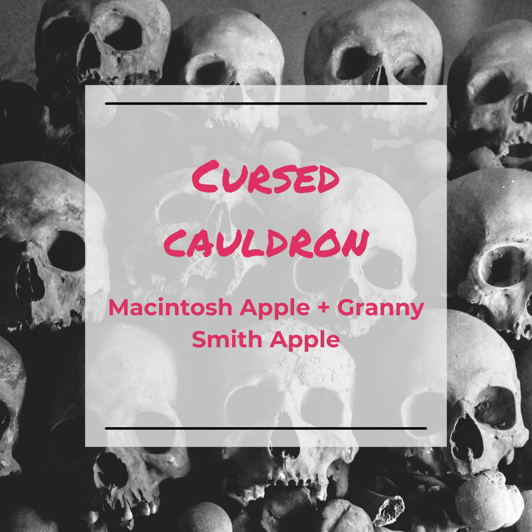Cursed Cauldron Wax Melt