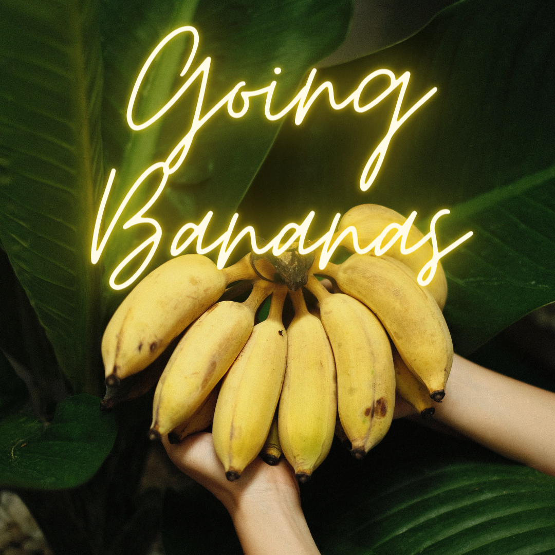 Going Bananas Soy Candle