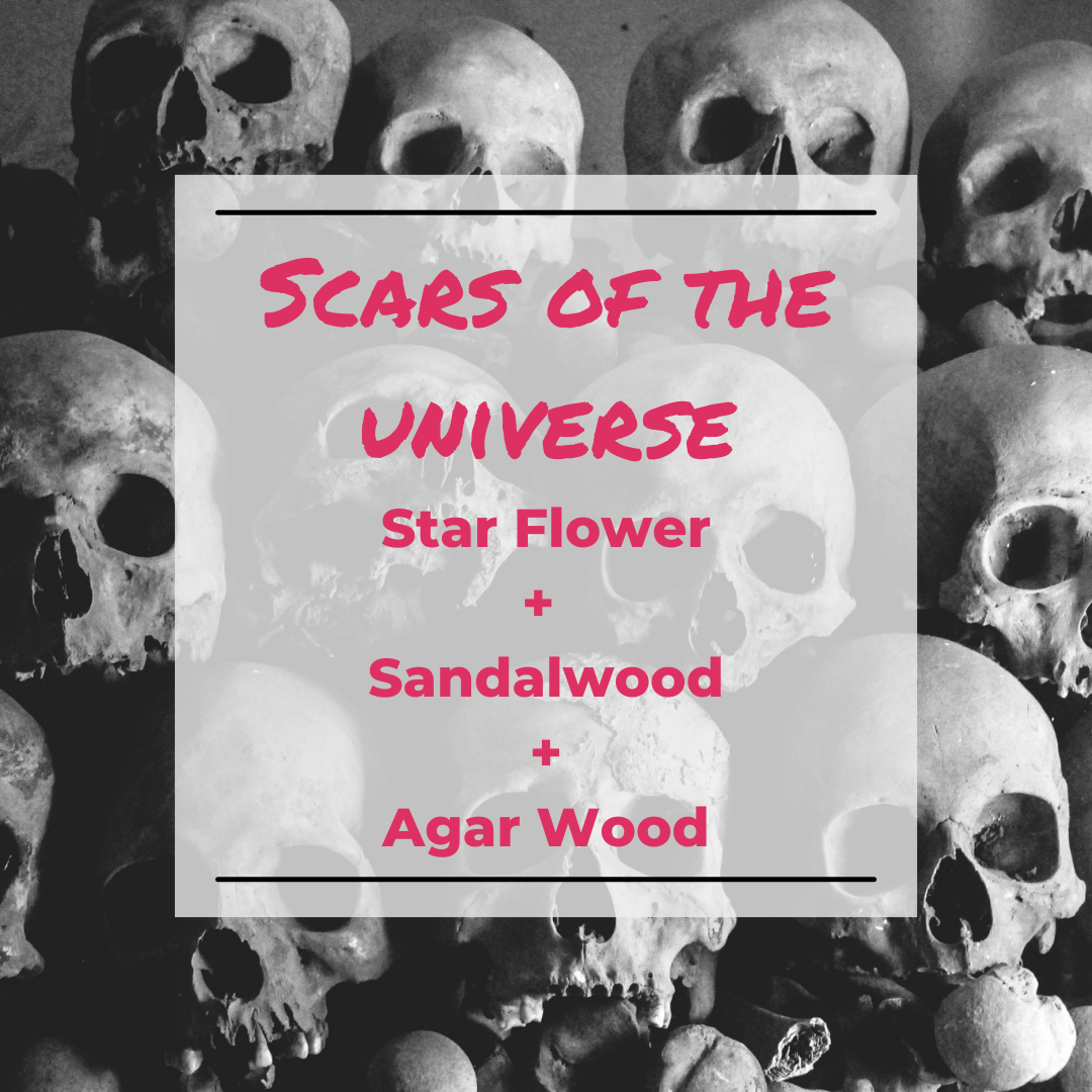 Scars of the Universe Wax Melt