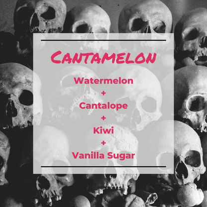 CantaMelon Wax Melt