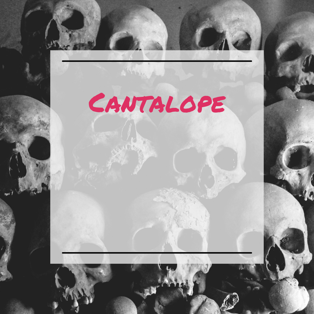 Cantaloupe Wax Melt