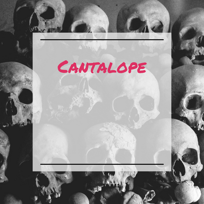 Cantaloupe Wax Melt