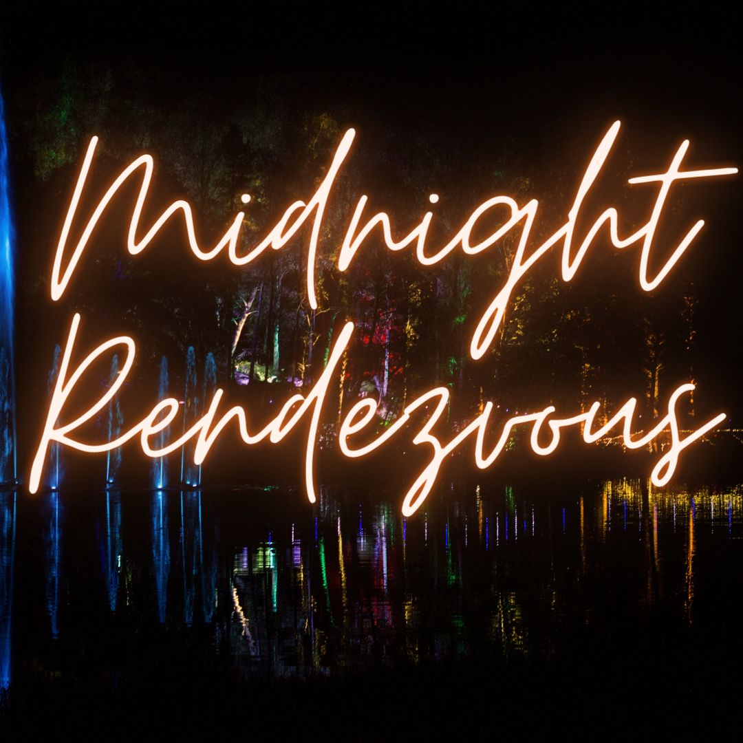 Midnight Rendezvous Soy Candle